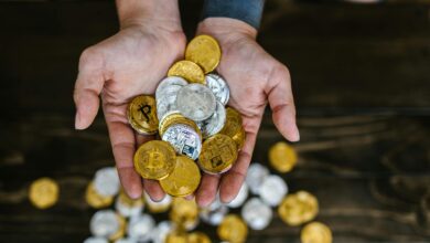 defi staking rewards